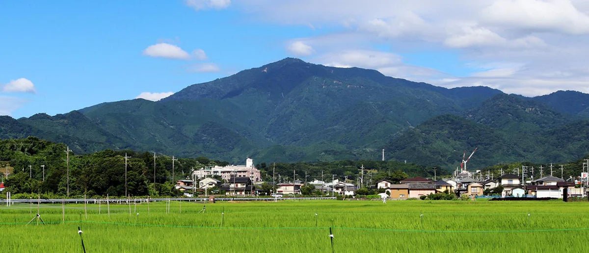 Products for International Shipping