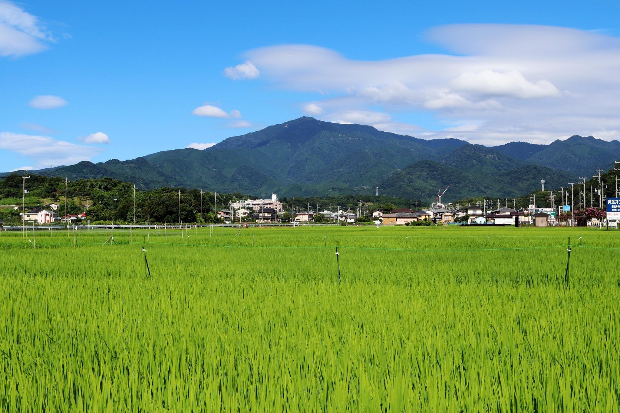 【重要】年末年始のお知らせ - らーめんAFURI 公式通販サイト